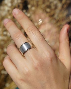 Paciana . Selecci n de Joyas. Anillos de Plata y Oro