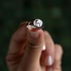 Imagen de Anillo Virgen
