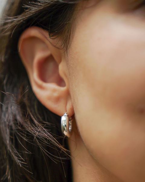 Imagen de Aros Pame
