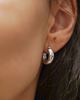 Imagen de Aros Pame