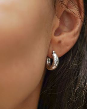 Imagen de Aros Pame