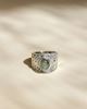 Imagen de Anillo Xia