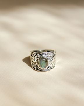 Imagen de Anillo Xia