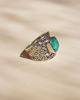 Imagen de Anillo Lucio