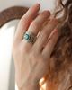 Imagen de Anillo Lucio