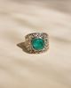 Imagen de Anillo Lucio