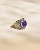Imagen de Anillo Lucio
