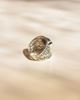 Imagen de Anillo Lucio