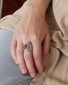 Imagen de Anillo Lucio