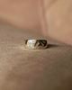 Imagen de Anillo Angus