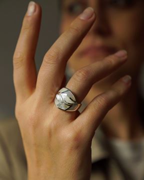 Imagen de Anillo Naru