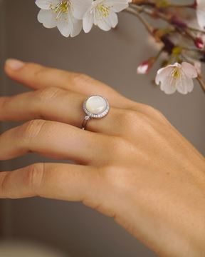 Imagen de Anillo Remi