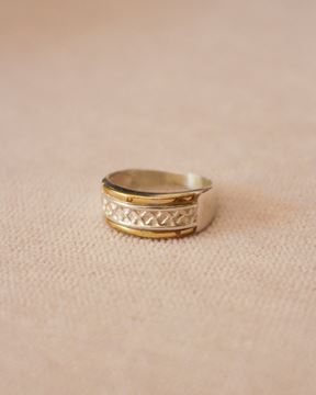 Imagen de Anillo Anto