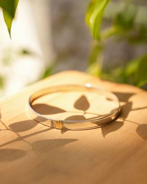 Imagen de Esclava Leia