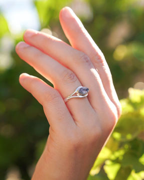 Imagen de Anillo Ini