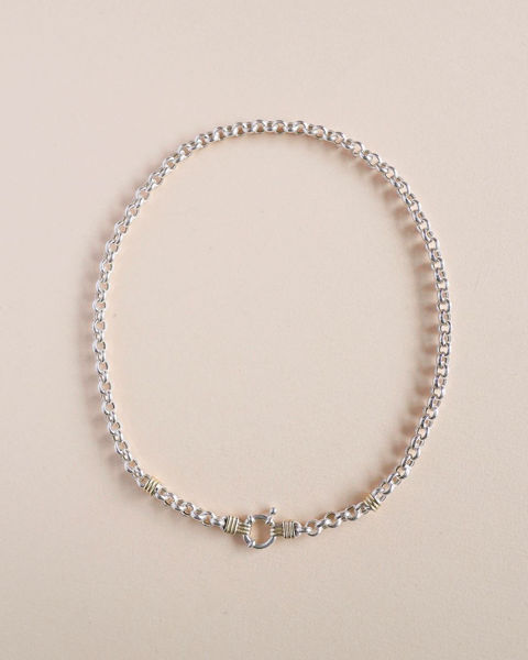 Imagen de Cadena Rolo con oro