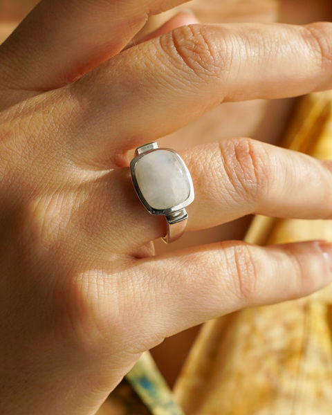 Imagen de Anillo Vico