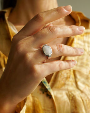 Imagen de Anillo Vico