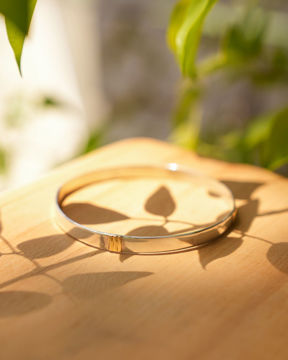 Imagen de Esclava Leia