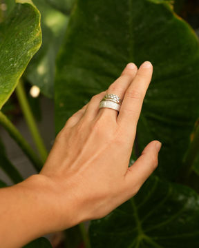 Imagen de Anillo Blume