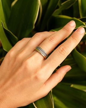 Imagen de Anillo Triple