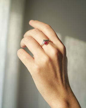 Imagen de Anillo Ali