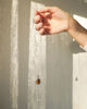 Imagen de Dije Shield