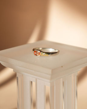 Imagen de Anillo Pola