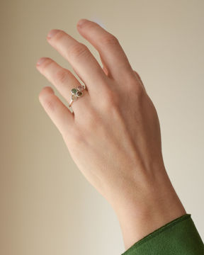 Imagen de Anillo Tesen