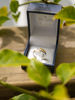 Imagen de Anillo Erin