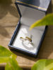 Imagen de Anillo Erin
